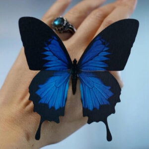 4-delige set 'Iolite' Butterfly