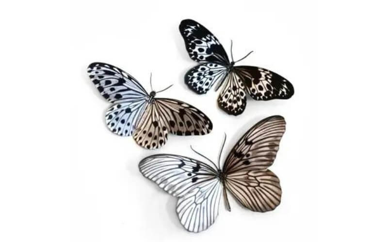 3-delige set 'Marble' Butterfly