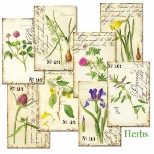 Herbs MINI plakboekpapier