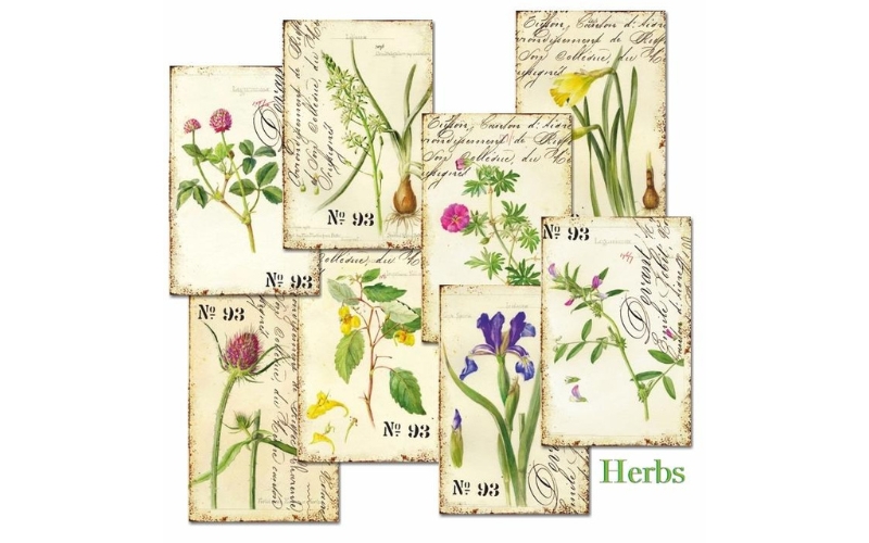 Herbs MINI plakboekpapier