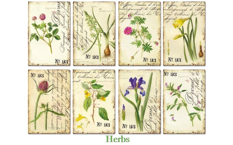 Herbs MINI plakboekpapier