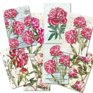 Peony Mini Scrapbookpapier