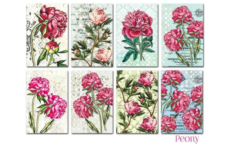 Peony Mini Scrapbookpapier