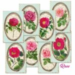 Rose Mini Scrapbookpapier