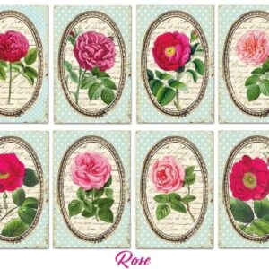 Rose Mini Scrapbookpapier