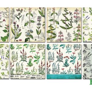 Herbs Scrapbookpapier 6"