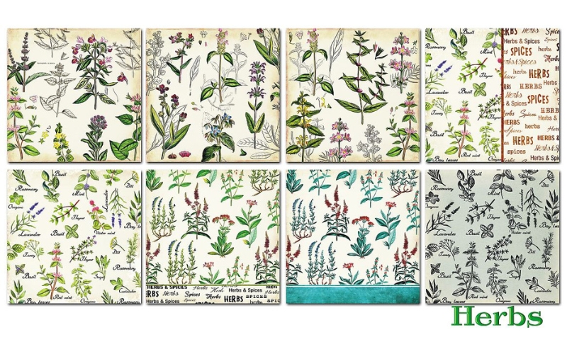 Herbs Scrapbookpapier 6"