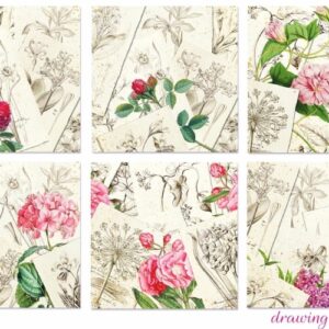 Drawing Flowers Scrapbookpapier 8"